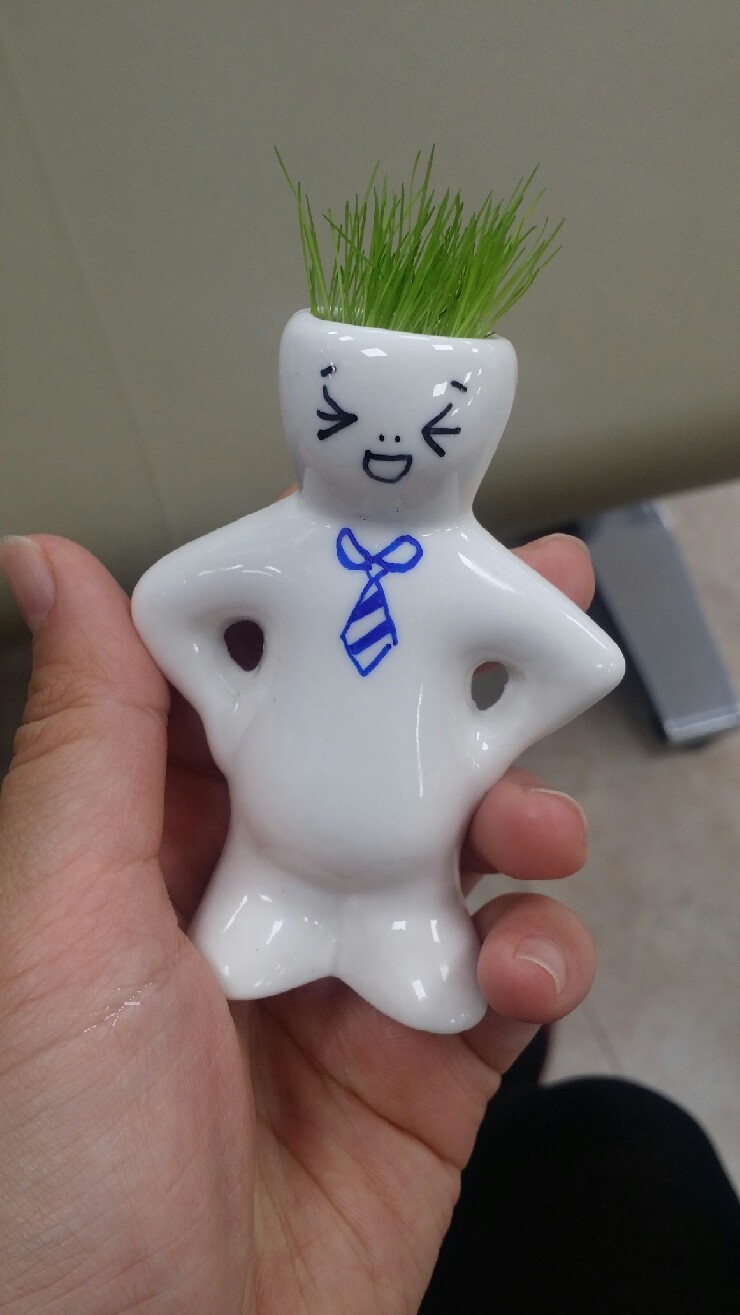 누리플랜트 이미지