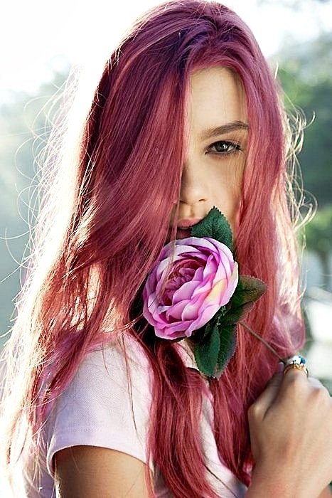 가위와빗 이미지