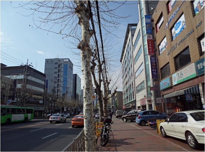 대영컨설팅 이미지