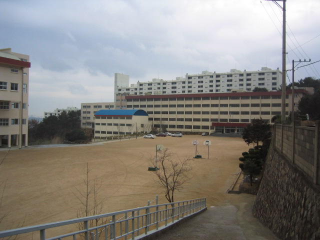 내성초등학교 이미지