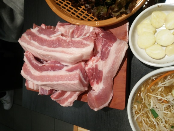 엉터리생고기 이미지