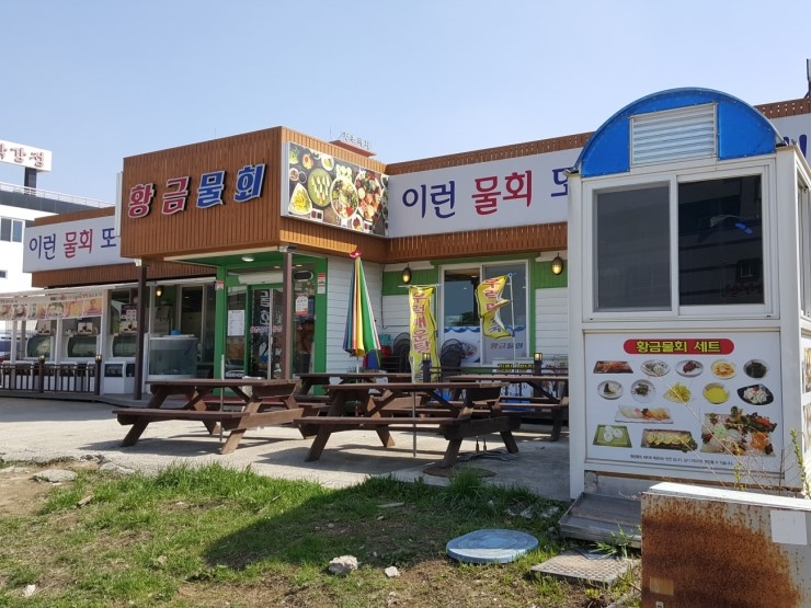 황금물회 이미지