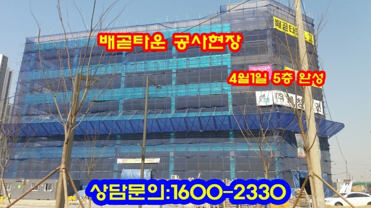 배곧고등학교 이미지