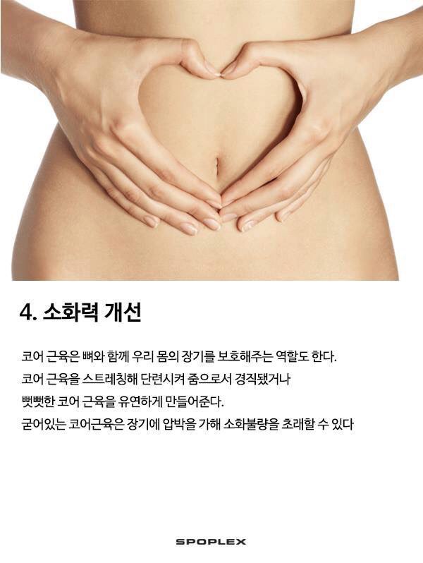 마린코어 이미지