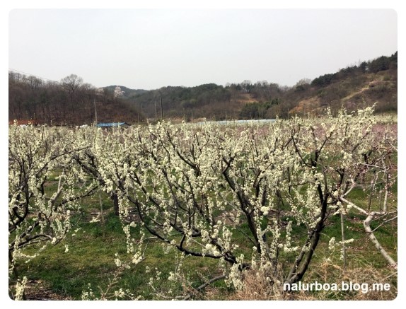 만리축산 이미지