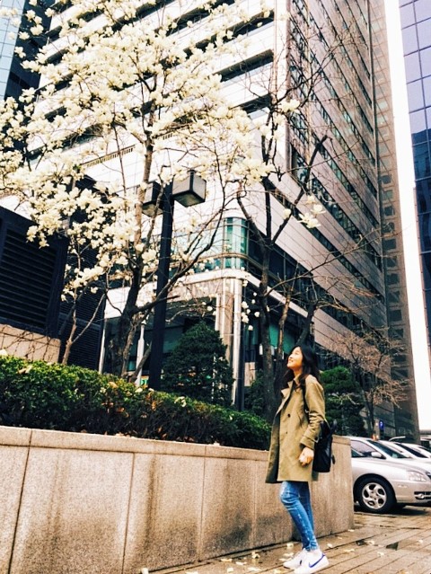 거성푸드 이미지