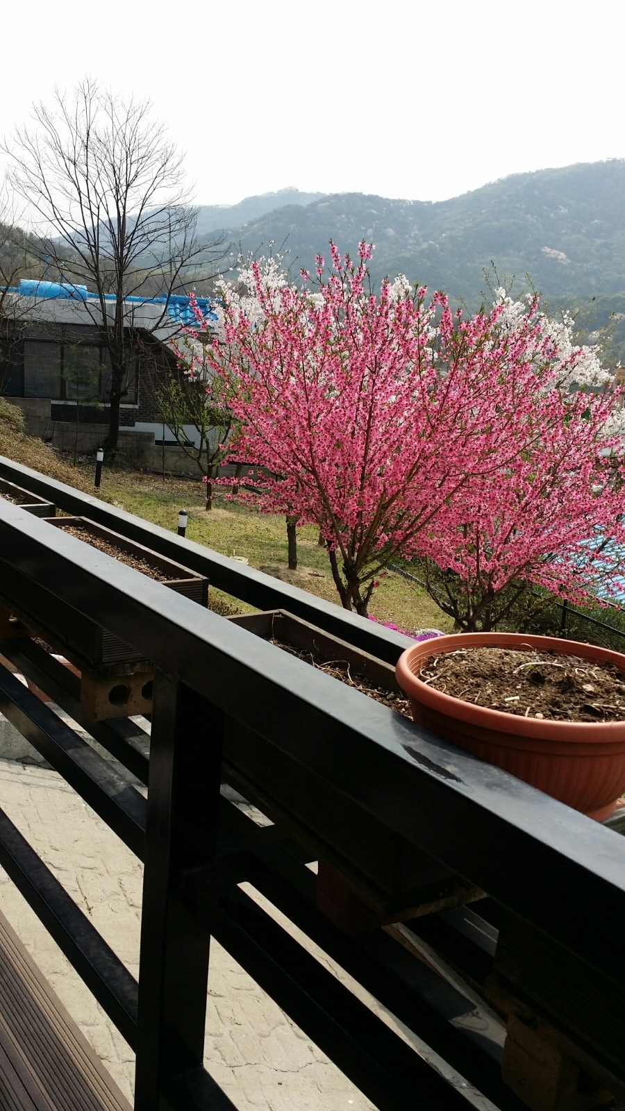 도토리퀼트 이미지