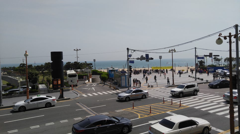 낙지부대 이미지