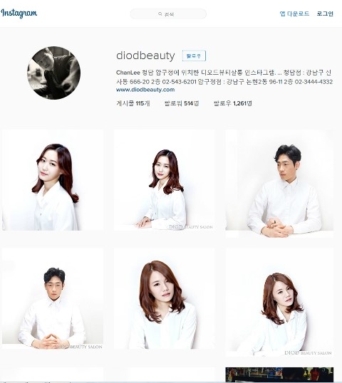 디오드 이미지