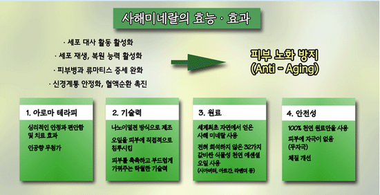 아라바 이미지