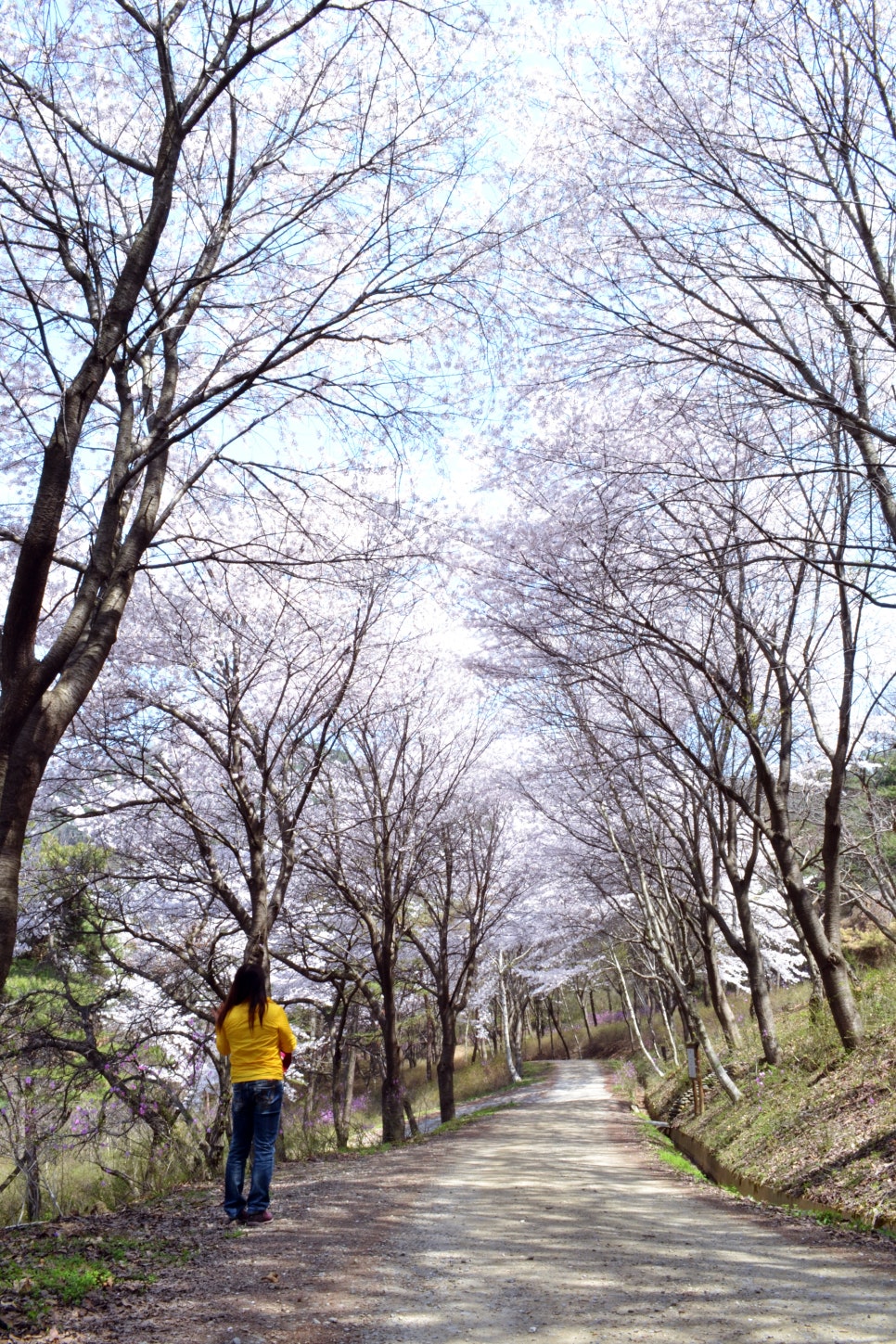 아미산숲센터 이미지