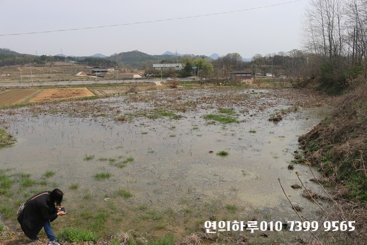 황산윤가네농장 이미지