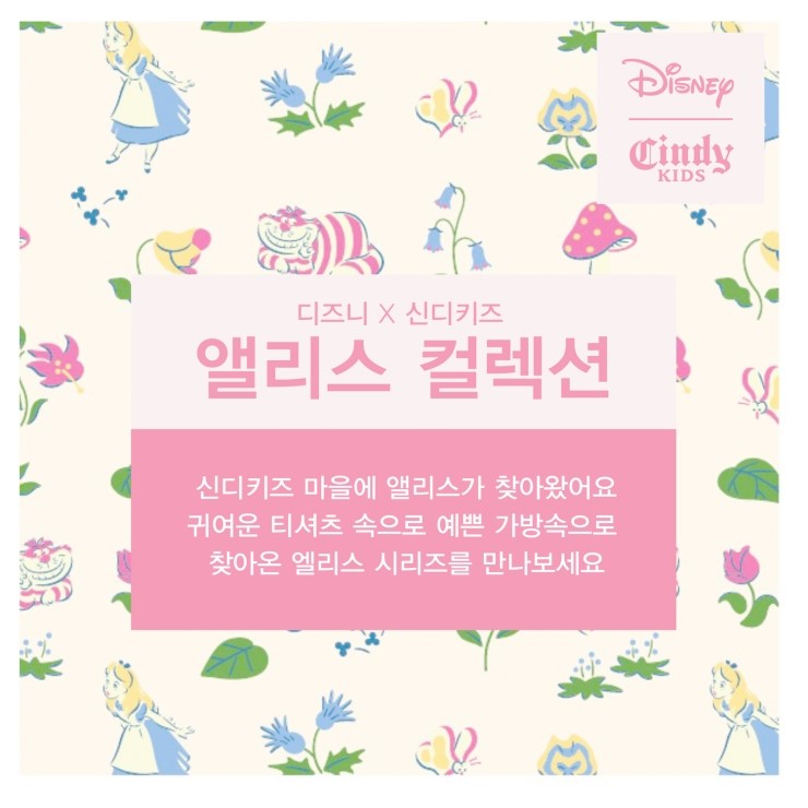 신디키즈 이미지
