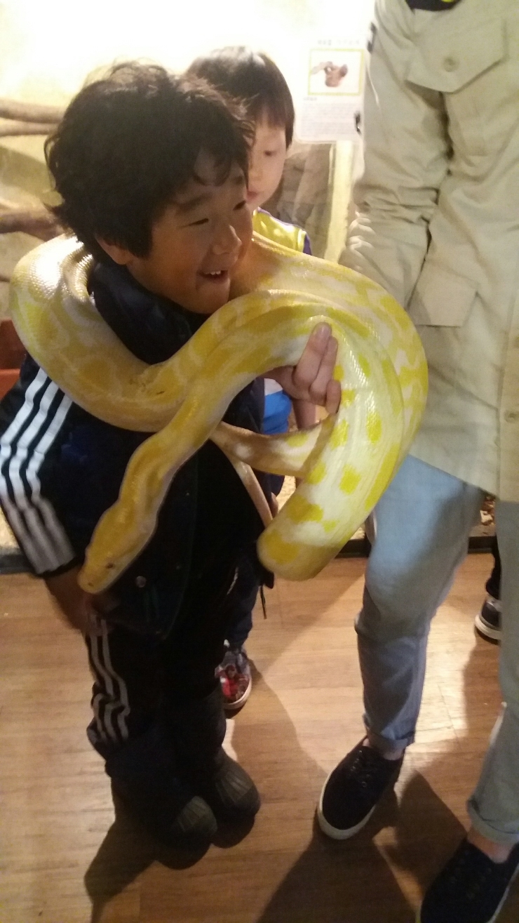 와우카페 이미지