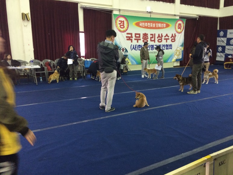 승리다방 이미지