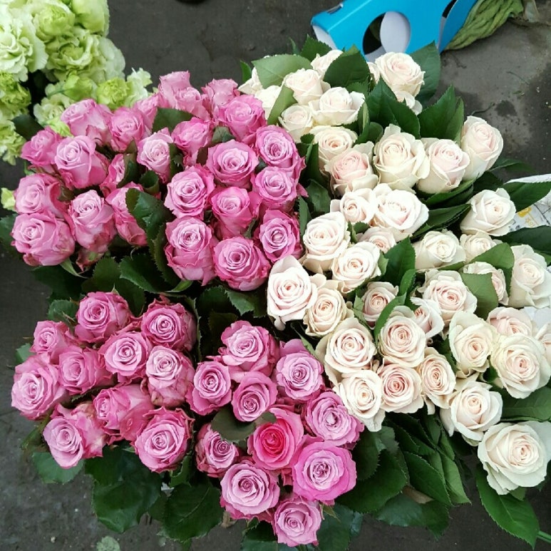 대림꽃농원 이미지