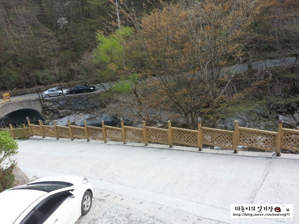 허브향기펜션 이미지