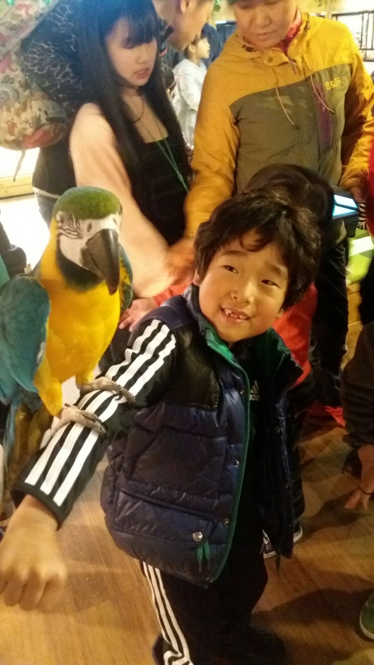 와우카페 이미지