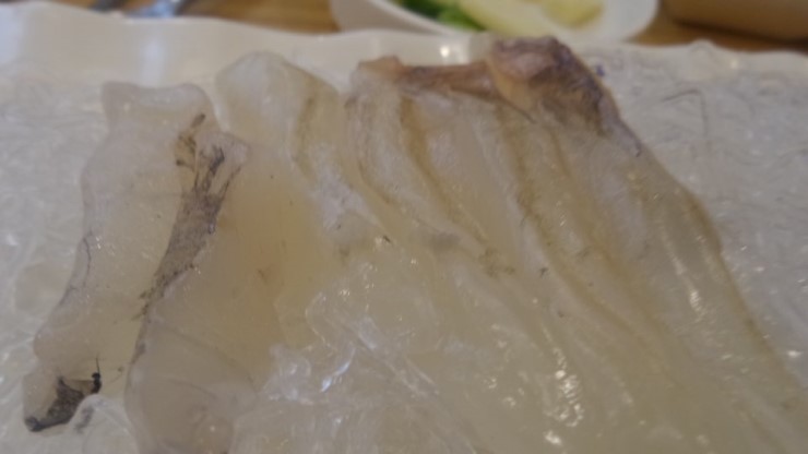 오징어바다 이미지