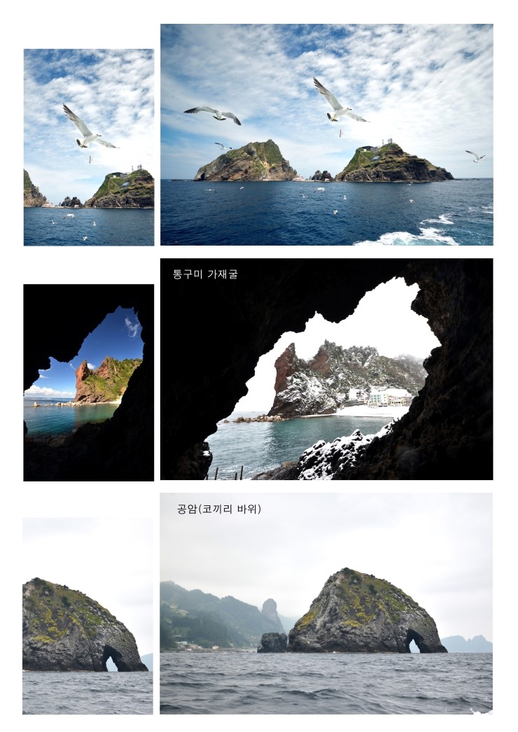 (주)대아울릉리조트 이미지