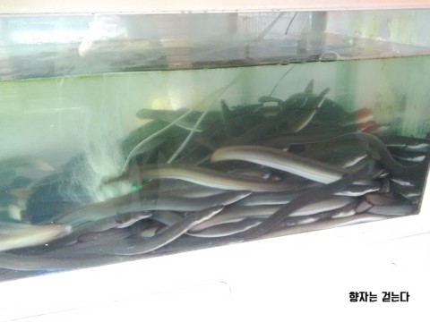 밀양시장횟집 이미지