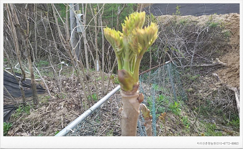춘향농원 이미지