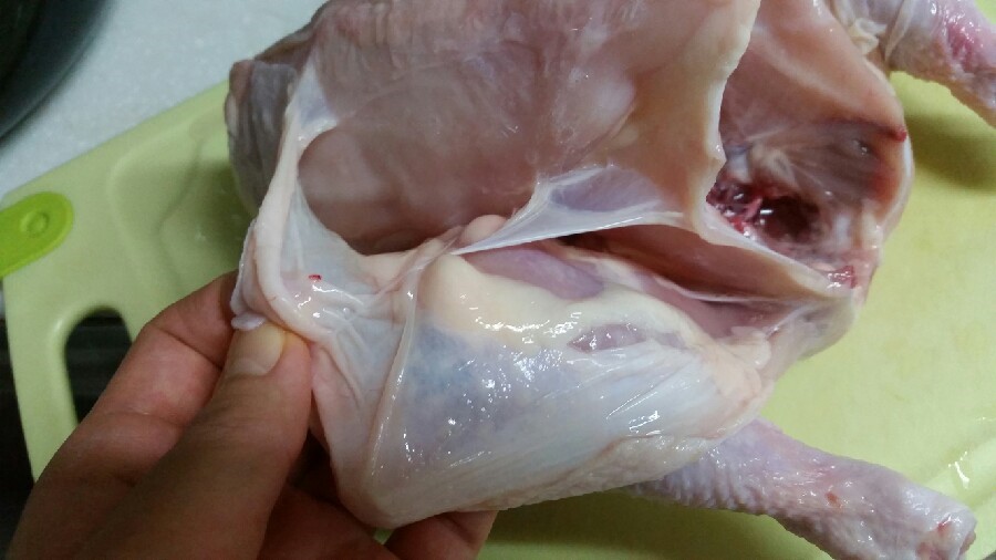 전기닭 이미지