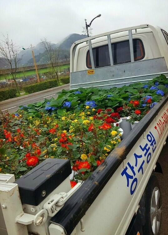장수식물원 이미지