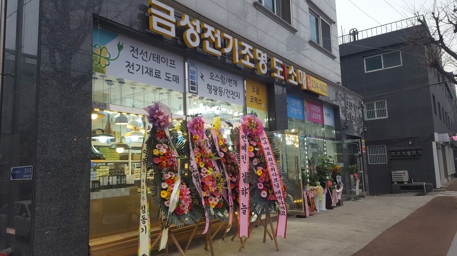 금성조명전기 이미지