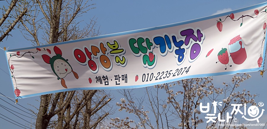 앙상블딸기농장 이미지