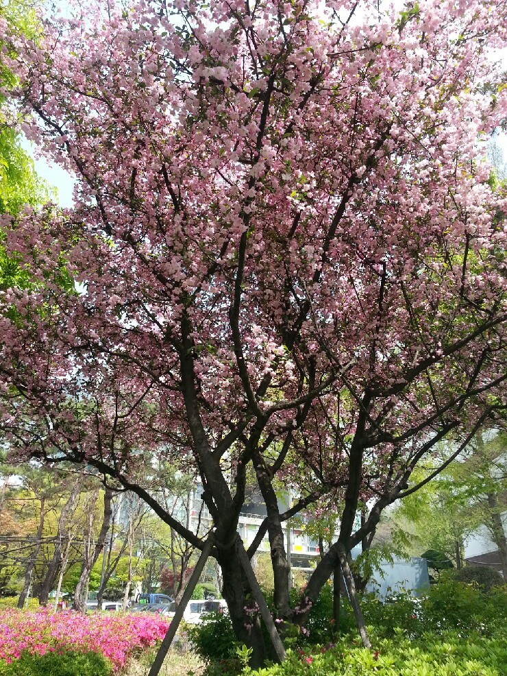 와겐커피 이미지