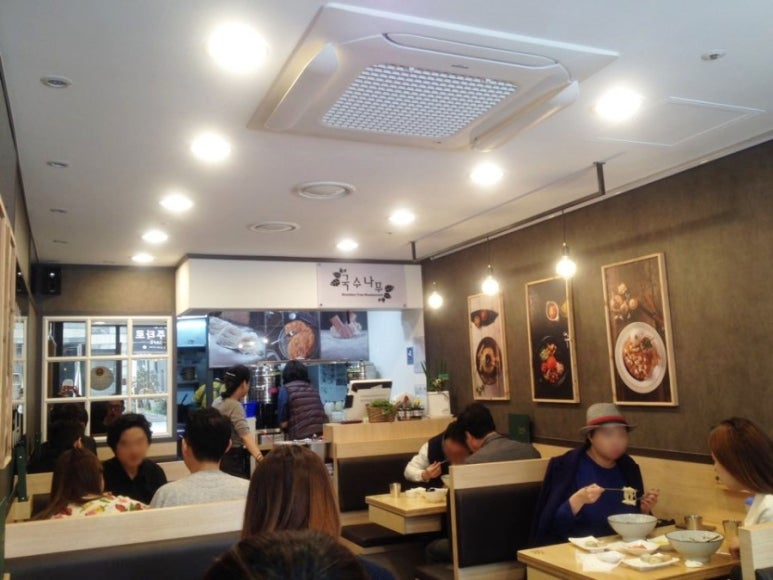 국수나무 이미지