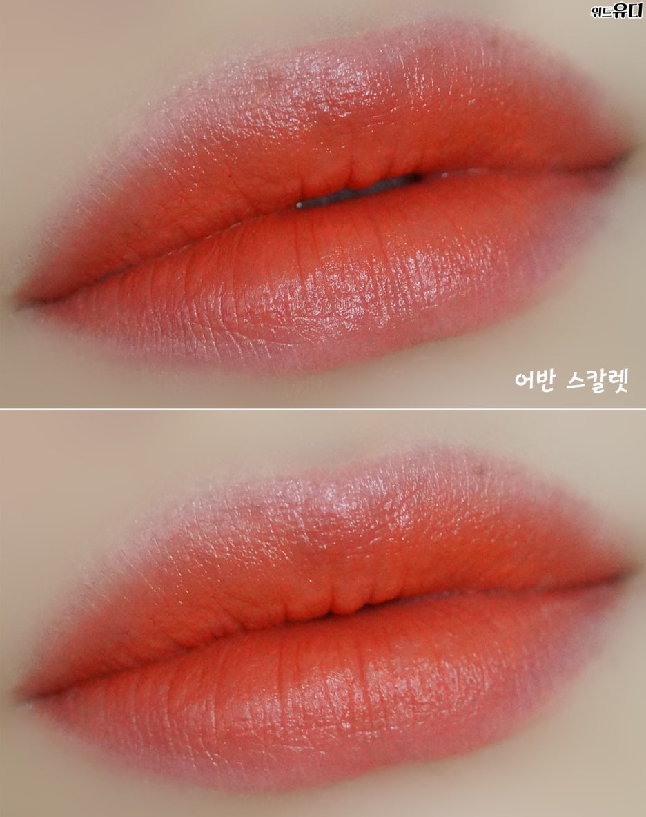 스칼렛웨어 이미지