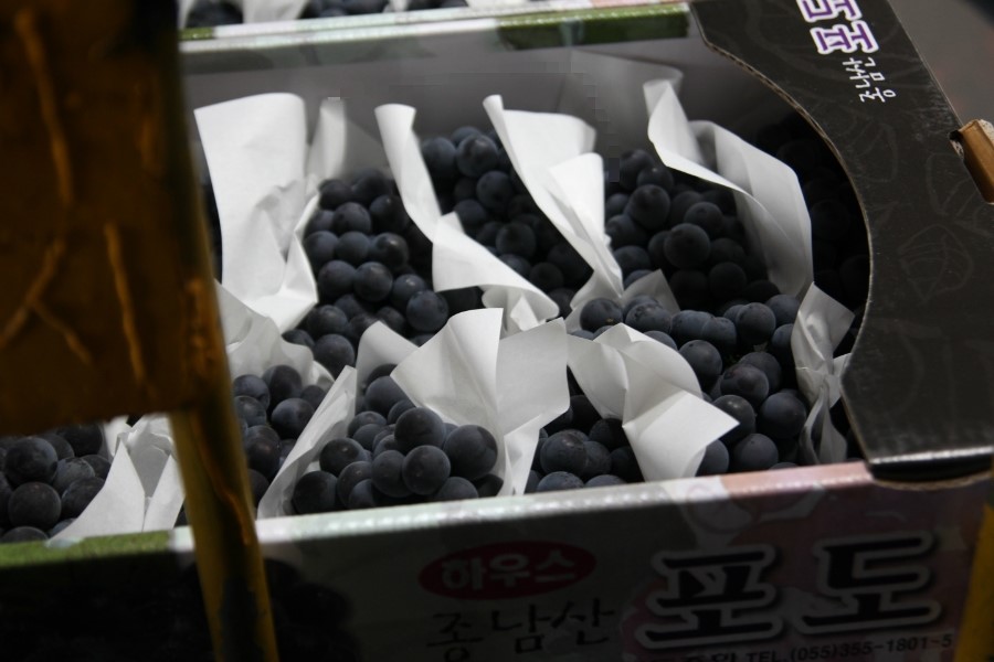 한산한 오늘 이미지