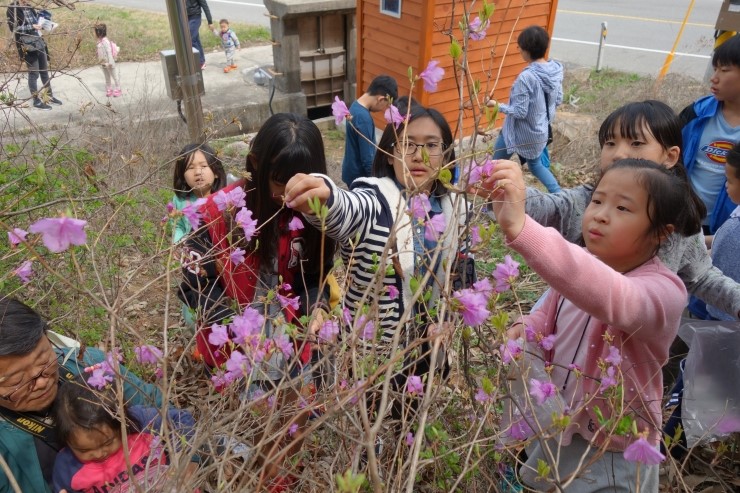 비빔놀이 이미지