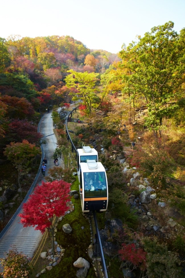 숲속분재원 이미지