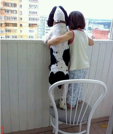 오징어데이 이미지