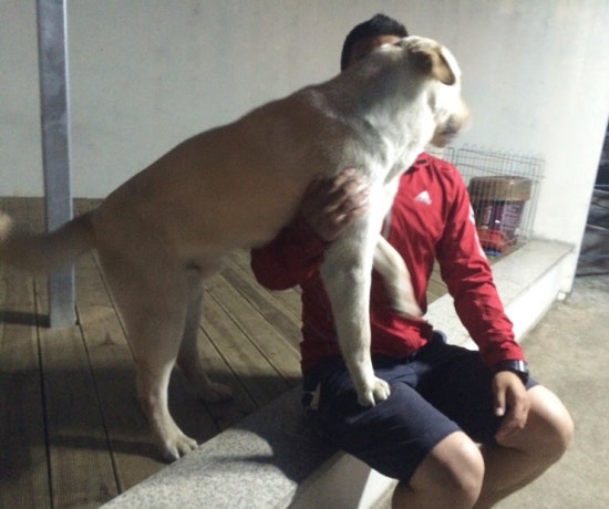 복대박 이미지