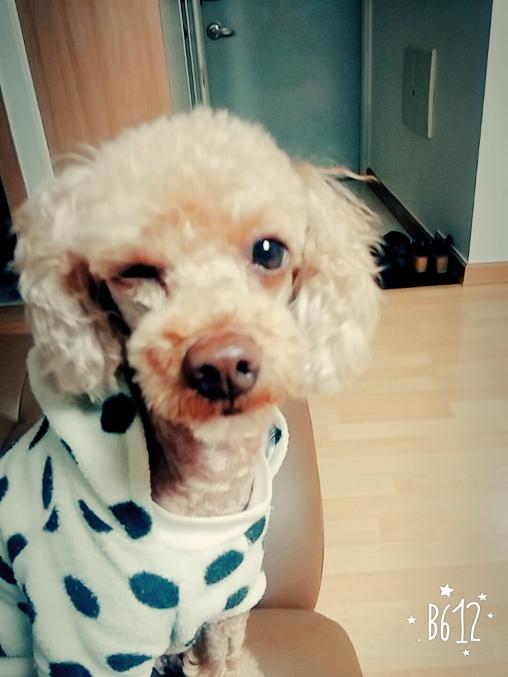 해뜰날포차 이미지