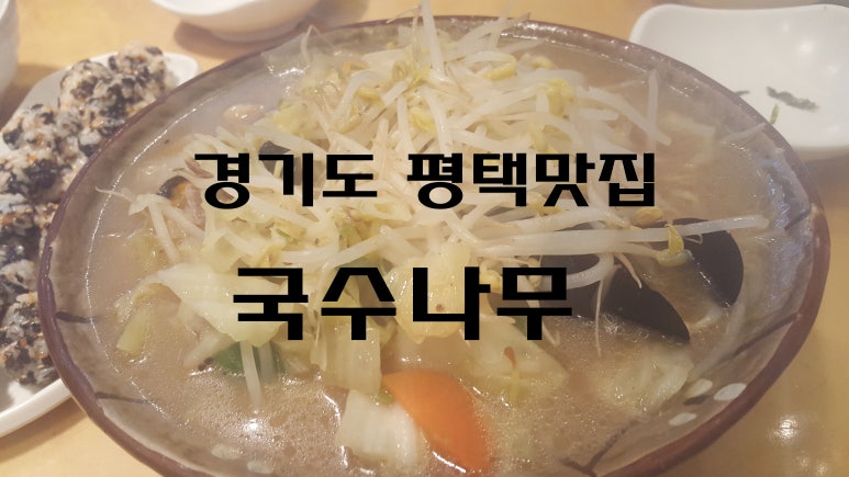 국수나무안중 이미지