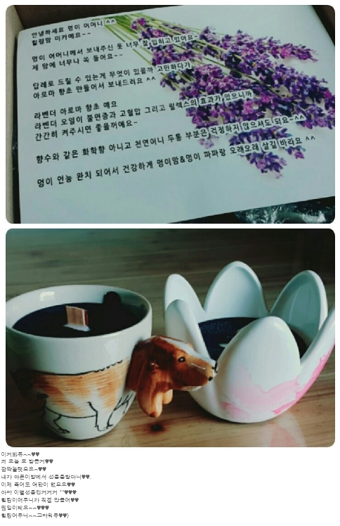 라벤다아로마 이미지