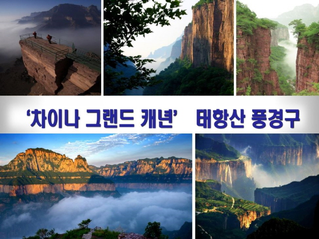 제주태원 이미지