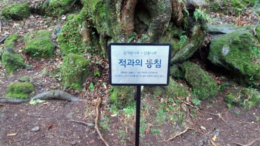 자연동침 이미지