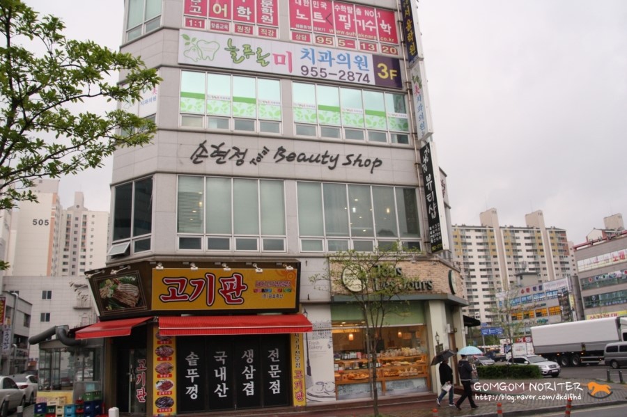 세우여행사 이미지
