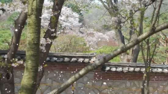 미헤어샾 이미지
