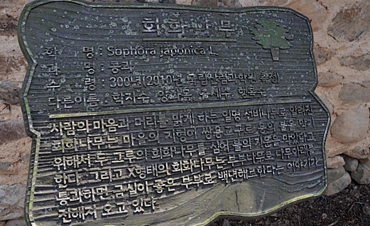 최씨 고가 이미지