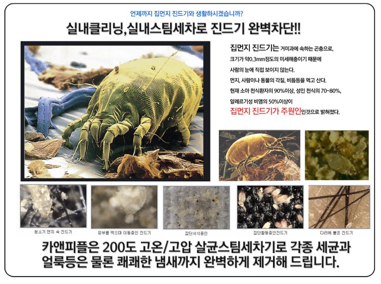 콜세차 이미지