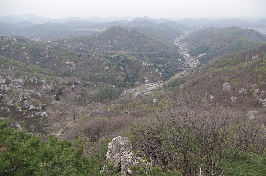 비학산4코스정상 이미지