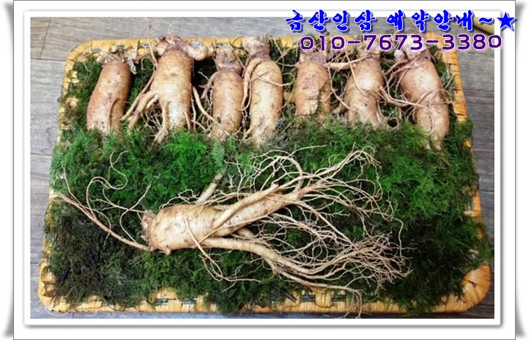 강화인삼직판장 이미지