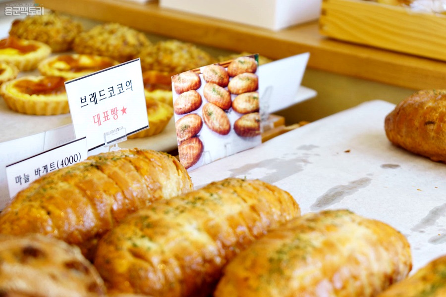 코코브레드 이미지